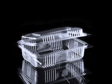 Sızdırmaz Taşıma Kap 1500gr
